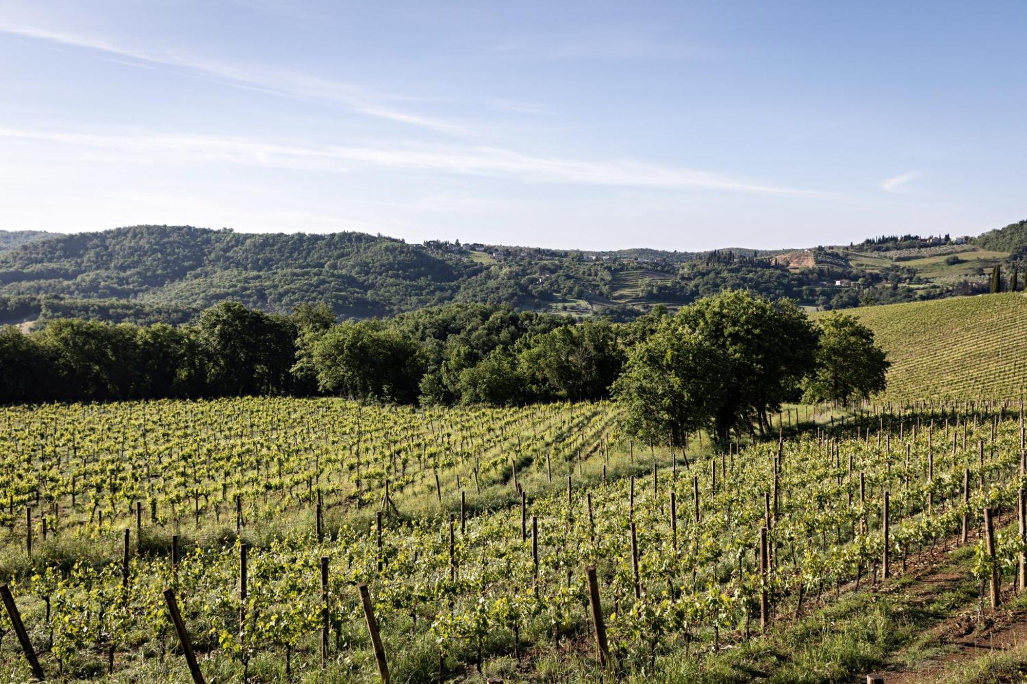 Pieve Aldina Relais & Chateaux Radda in Chianti Dış mekan fotoğraf
